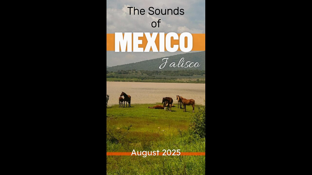 The Sounds of Mexico
