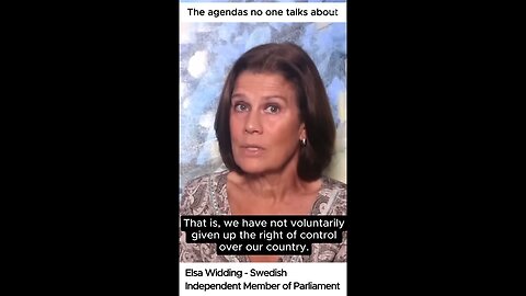 Elsa Widding - The agenda no one talks about