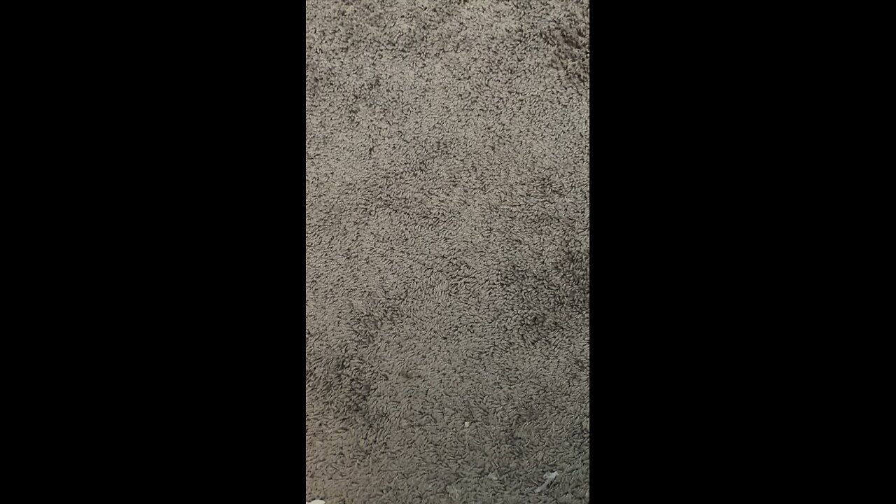 Test 12