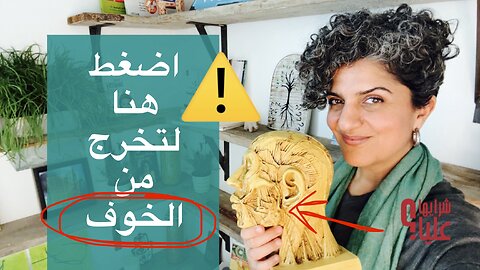 اضغط هنا لتخرج من الخوف. دور العصب الحائر في المشاعر وطرق ترخيته مباشر 5.2.26