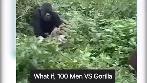 What if, 100 Men vs Gorilla