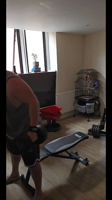 someone need to tell this dog we are live lol