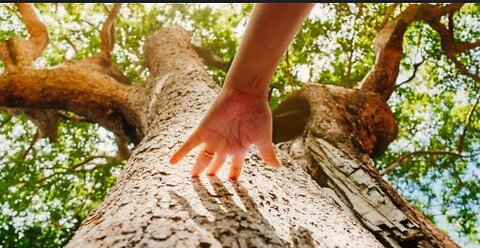 USING TOUCH TO SEND AND RECEIVE THOUGHTS
