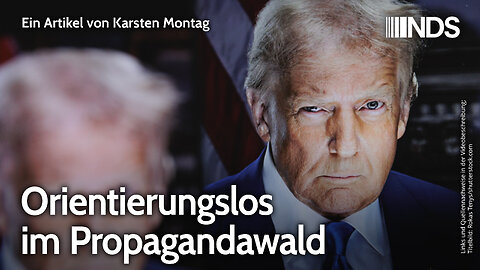Orientierungslos im Propagandawald | Karsten Montag | NDS-Podcast