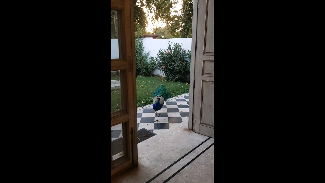 चुपके चुपके