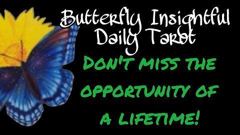 Butterfly Insightful Daily Tarot - Don't miss the opportunity of a lifetime!