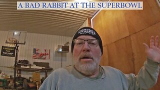 A Bad Rabbit At The Super Bowl