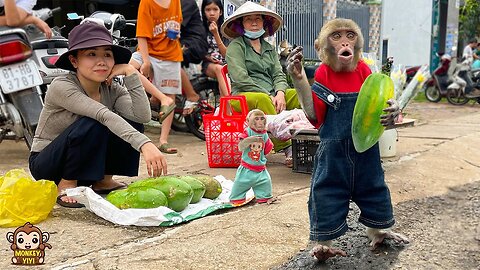 Smart YiYi helps mom harvest papayas to sell at the market