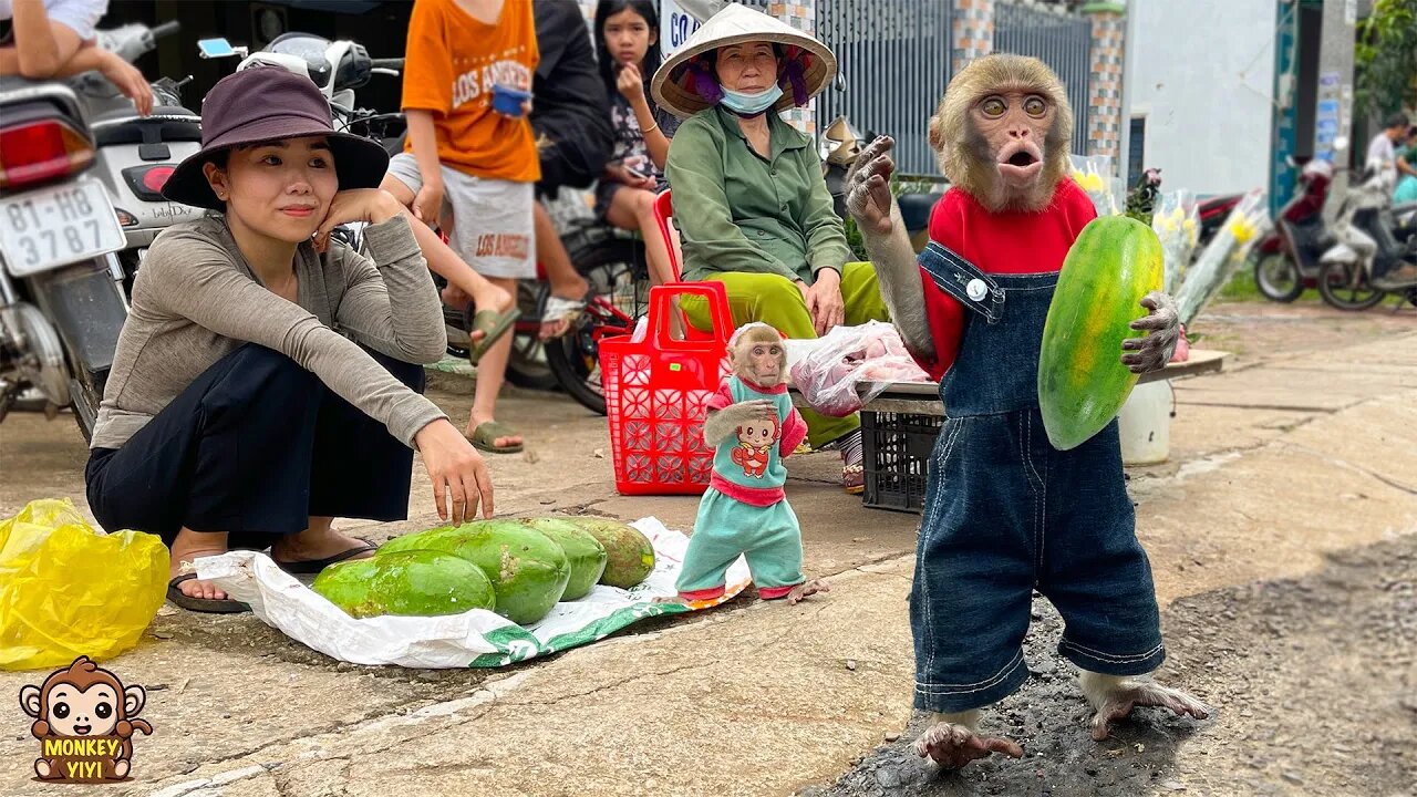 Smart YiYi helps mom harvest papayas to sell at the market