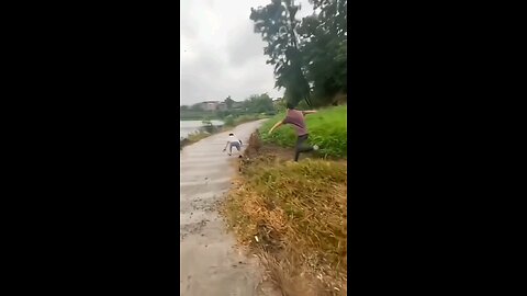 Vairel videos