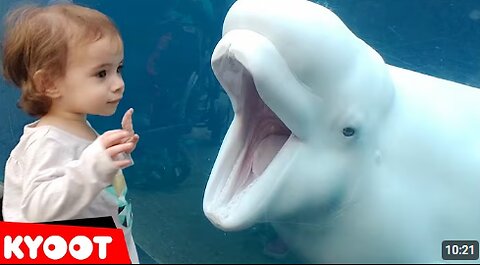 Girl SPOOKED By A Beluga Whale 🐳 Funny Kids at the Aquarium