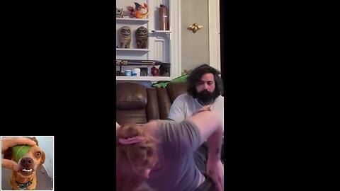 Funny videos compilation 11