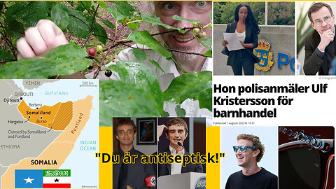 Rätt ord. AI-hjärna. Grok ljuger; portar GabAI. Kreditskapande. Somaliland köper Trump. Ulf anmäld