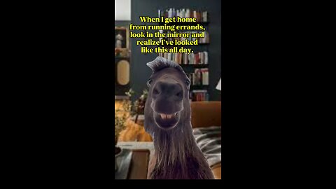 Memes that will make you laugh 😆
