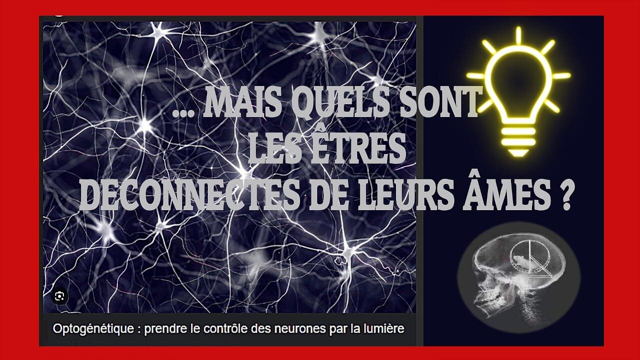 Les "Déconnectés" de leurs âmes... Comment les reconnaître ? (Hd 720) Voir descriptif