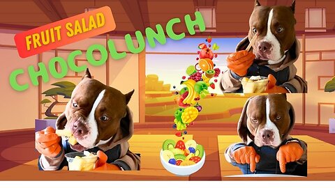 Bully Eats Fruit Salad with Human Hands | ASMR | Funny Dog Video