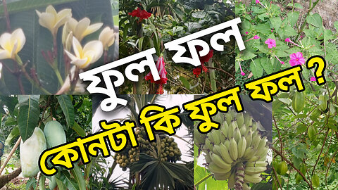ফুল ফল কোনটা কি ফুল ফল ?