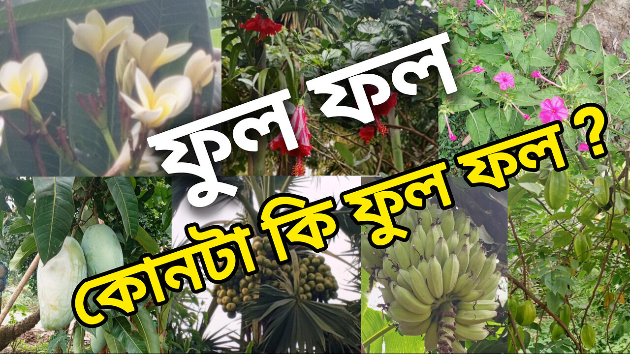 ফুল ফল কোনটা কি ফুল ফল ?