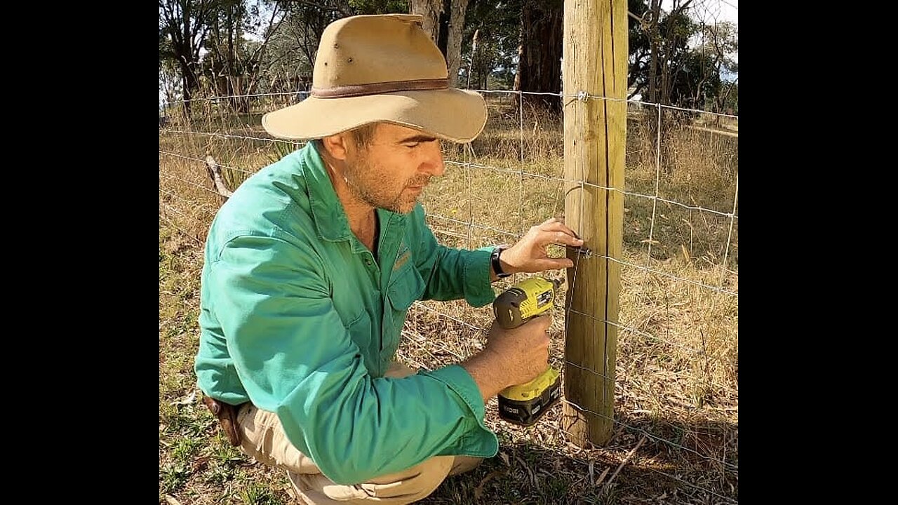Tim Thompson - Farm Learning