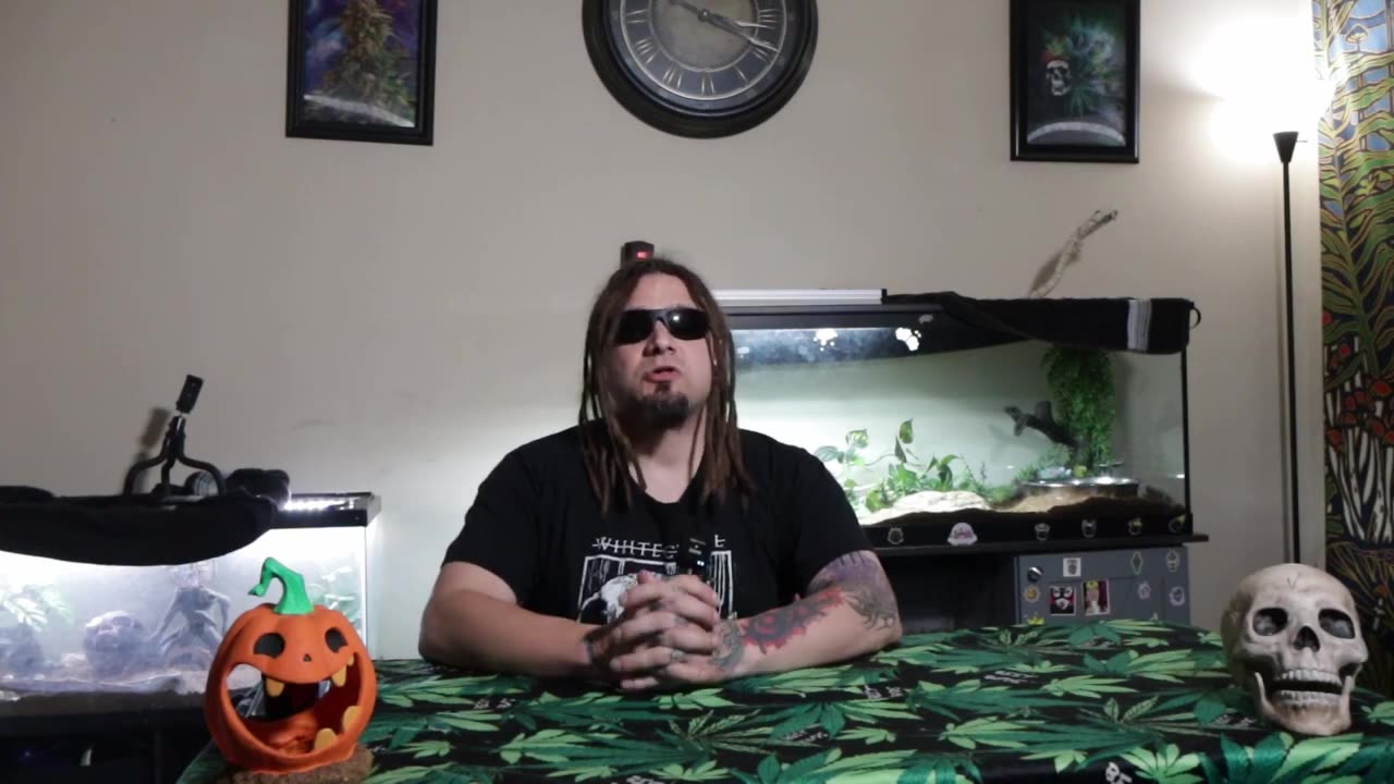 is vaping cannibas better then smoking cannibas old youtube