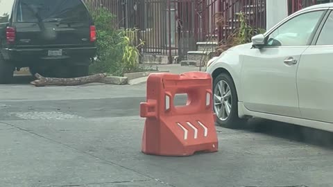 Traffic Barrier Politely Waits For Cars to Pass Before Crossing the Street