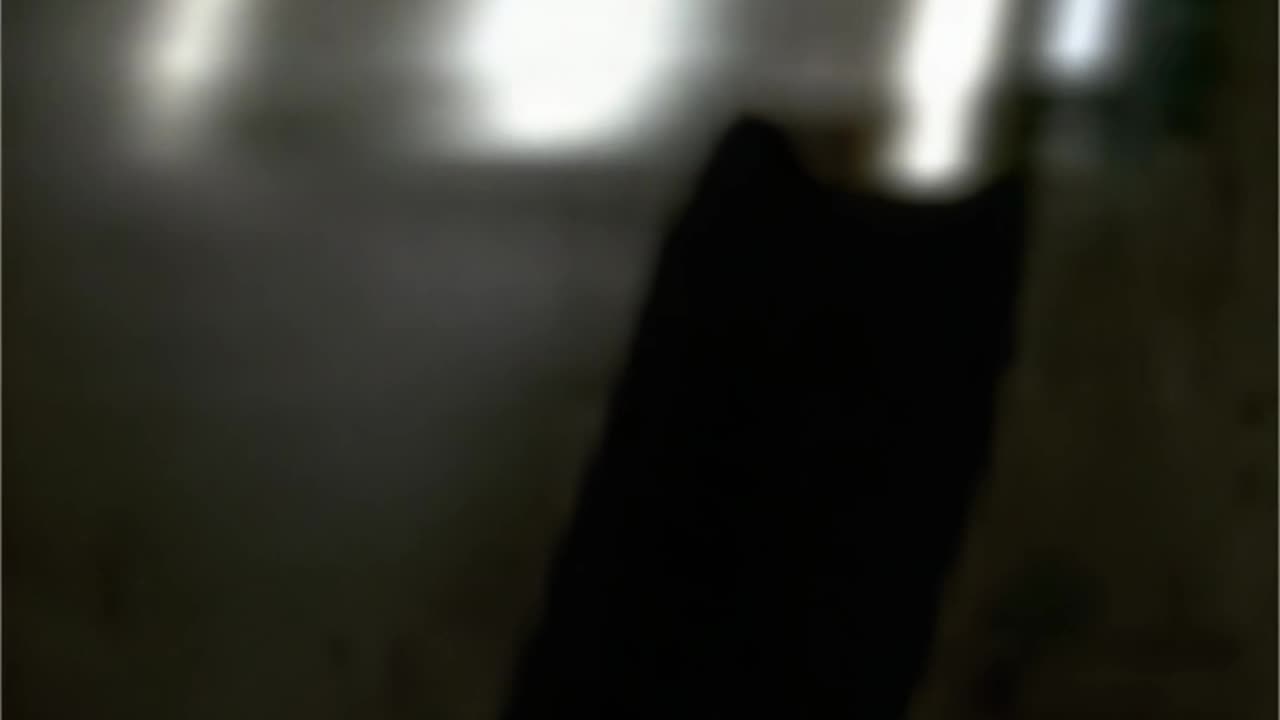 WAV - Glass Commz