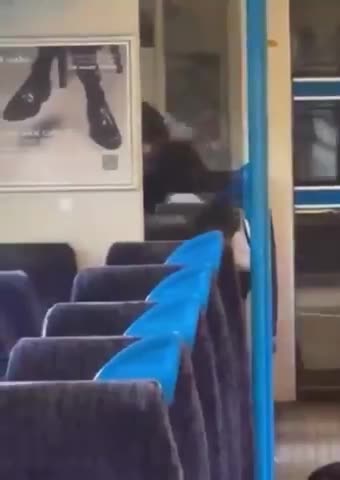 Rapey invader stabs Brit woman on train