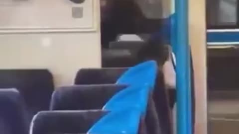 Rapey invader stabs Brit woman on train
