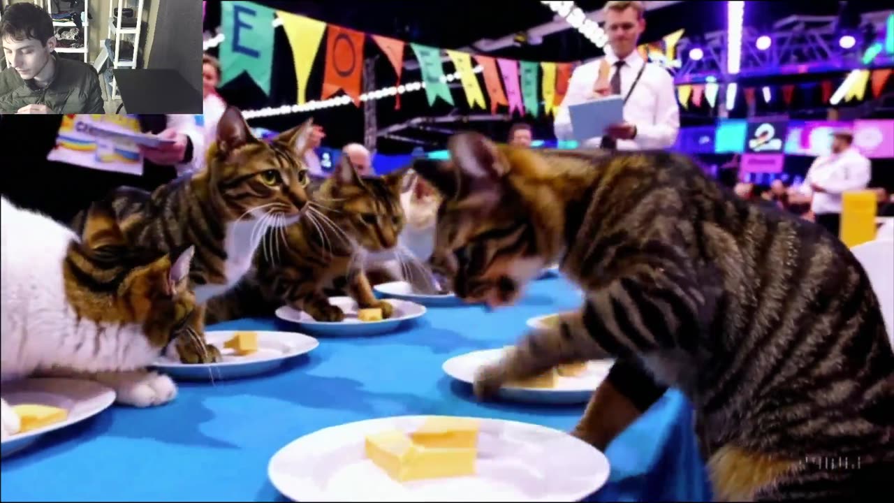 Outtake #1,177 Of The Cats Attempt The Vegan Cheese Eating Contest Fake Funny Parody Video