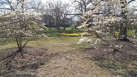 Spring is here!