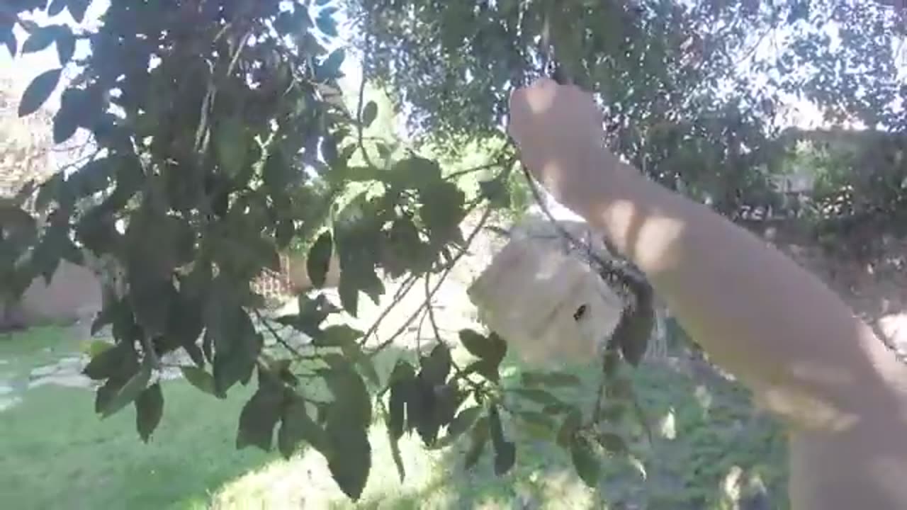Building a bird house