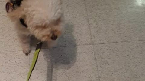 Enter automatic doors, walk thru barrier - Coles