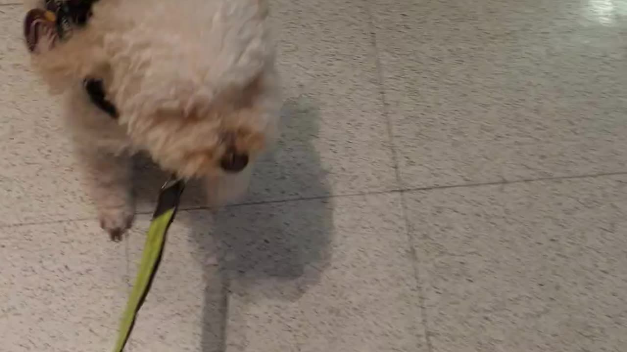 Enter automatic doors, walk thru barrier - Coles