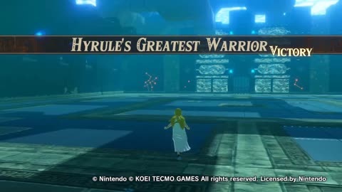 Hyrule Warriors Age Of Calamity Guerreros De Hyrule La Era De Calamidad Hyrule's Greatest Warrior Z