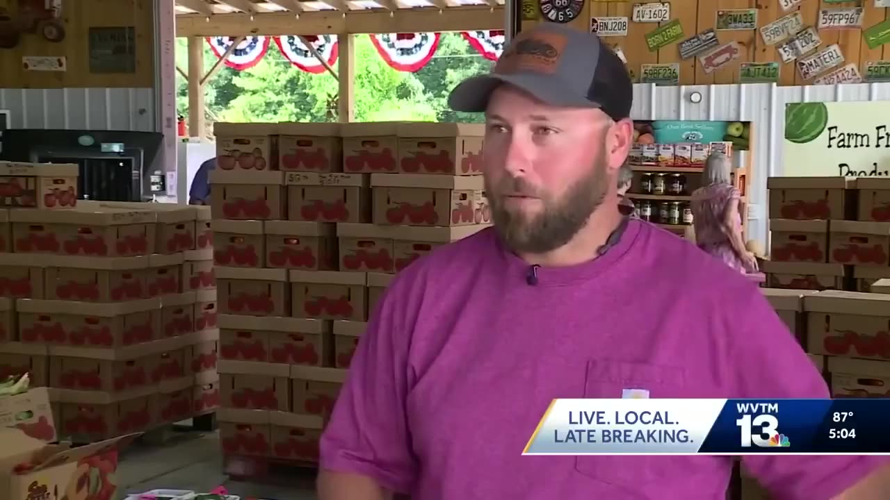 U.S. tomato farmers are now reaping the benefits of tariffs imposed on Mexican tomatoes…