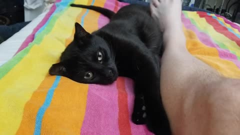 20250729 003138 Tux Foot Molested