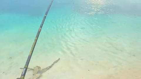 fishing with small lure