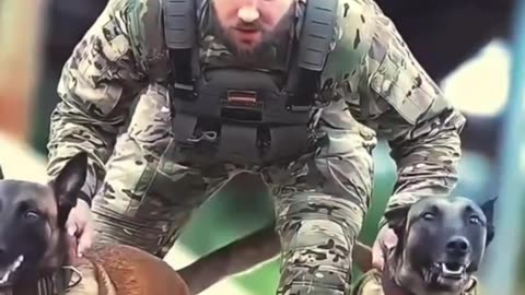 The Dogs of War