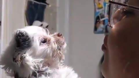 Kiss Your Dog