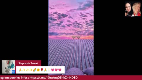 ApéroLiveLove avec Vous les Zzz'Amis 12/12/25 Les Zzz'Infos Bonheur de Leelou