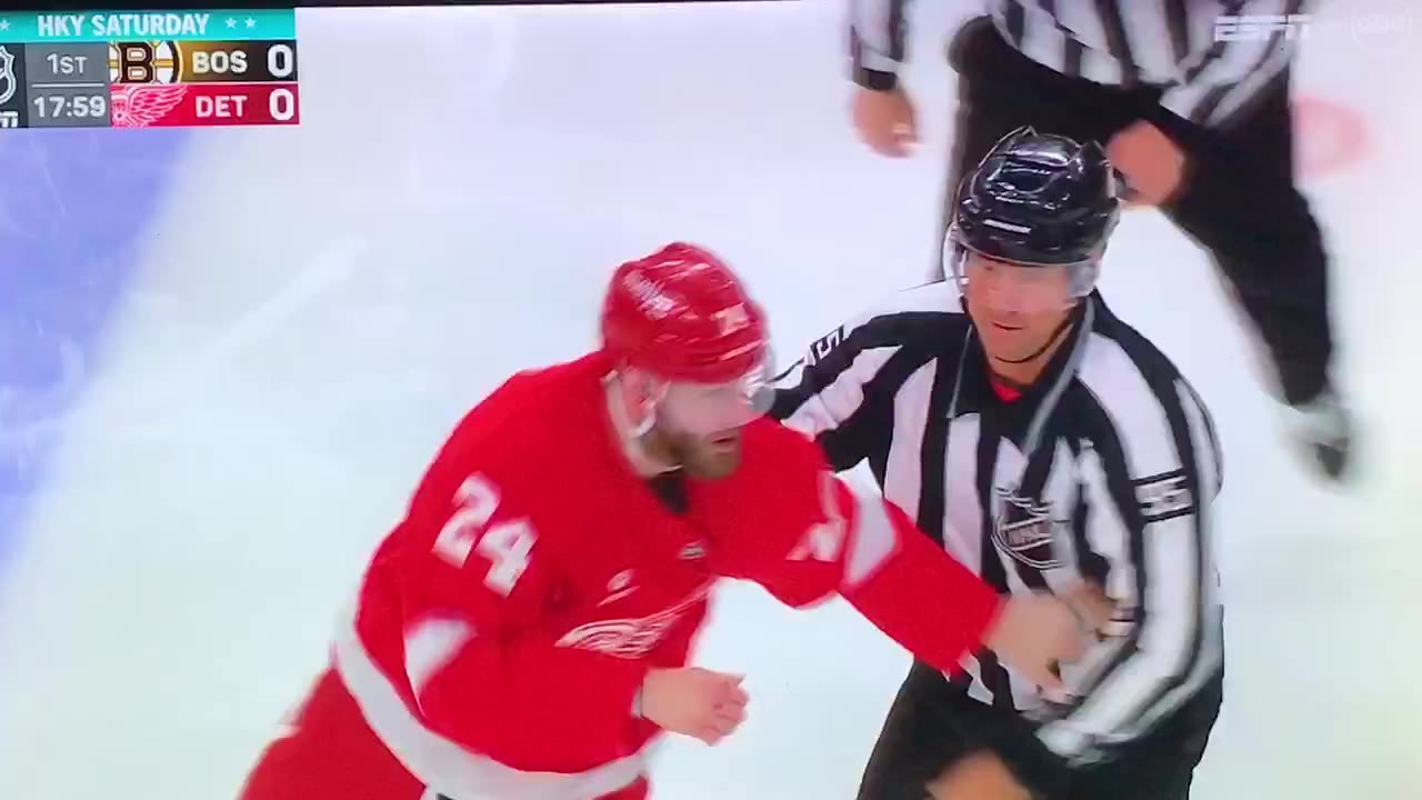 Red Wings #24 Austin Watson vs. Bruins #94 Jakub Lauko 🤜🏻🤛🏻