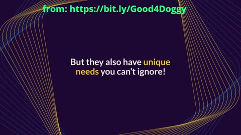 The Unique Needs of Small Breed Dogs – What Every Owner Must Know!