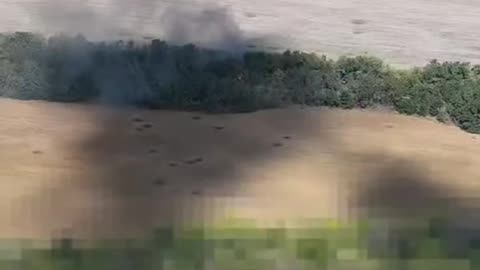 Azov Kharkiv regiment and Ukraine's 14th Separate Mechanized Brigade work over a Russian position
