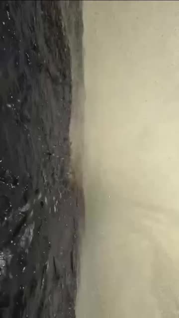 Big splash coming your way 😂