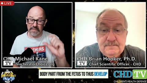 WOW: Dr. Offit Finally Admits Aborted Fetal DNA Can Be Found in Vaccines