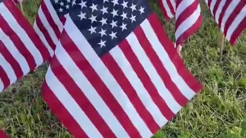 Field of Flags
