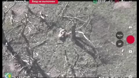 Ukraine Russia war combat/related footage 12/7/2025