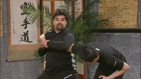 Hapkido Blend