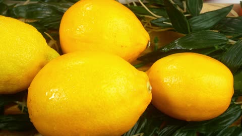 🍋 The Lemon: Much More Than a Sour Taste! | Read-Aloud from School Fruit Day