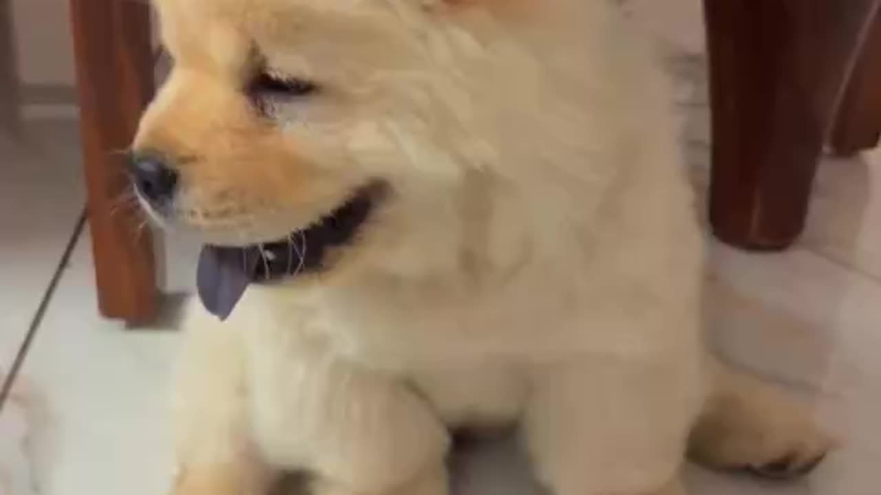 Lucky_boy